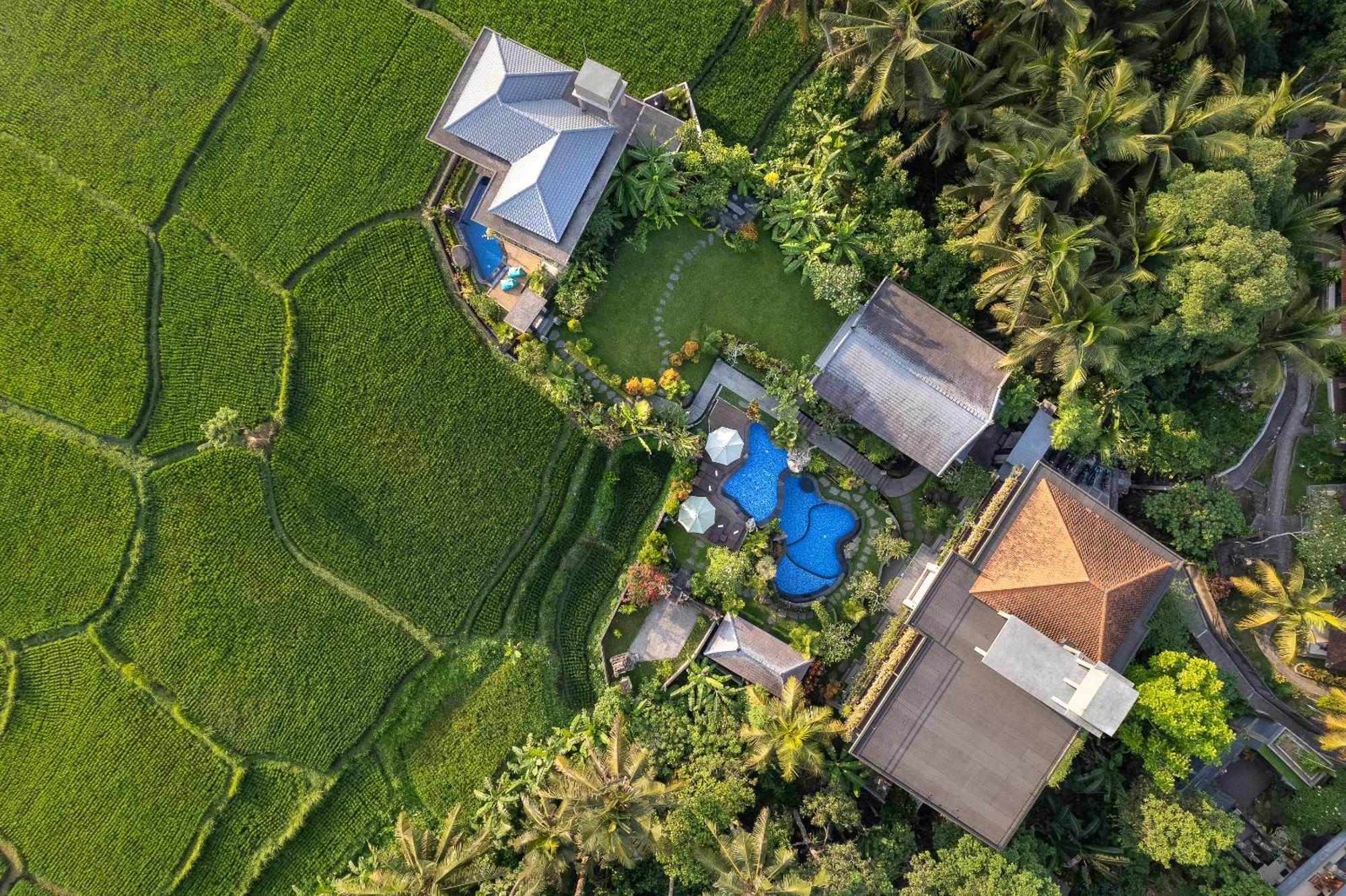 Gynandha Ubud Cottage Exterior foto